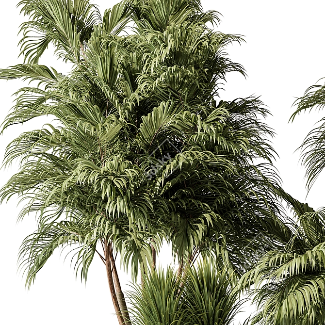 Tropical Outdoor Plant 459 3D model image 2