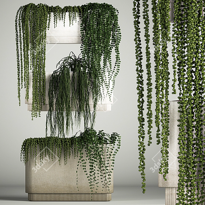 Rhipsalis & Succulent Hanging Wall Garden 3D model image 1