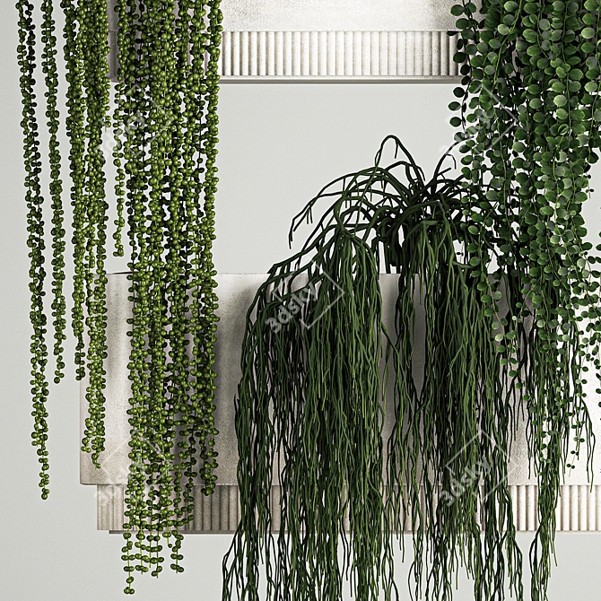 Rhipsalis & Succulent Hanging Wall Garden 3D model image 4