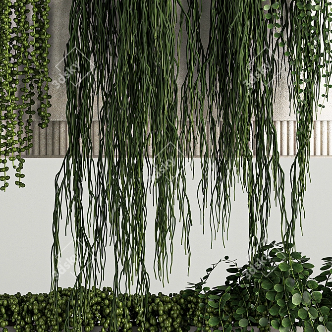 Rhipsalis & Succulent Hanging Wall Garden 3D model image 5