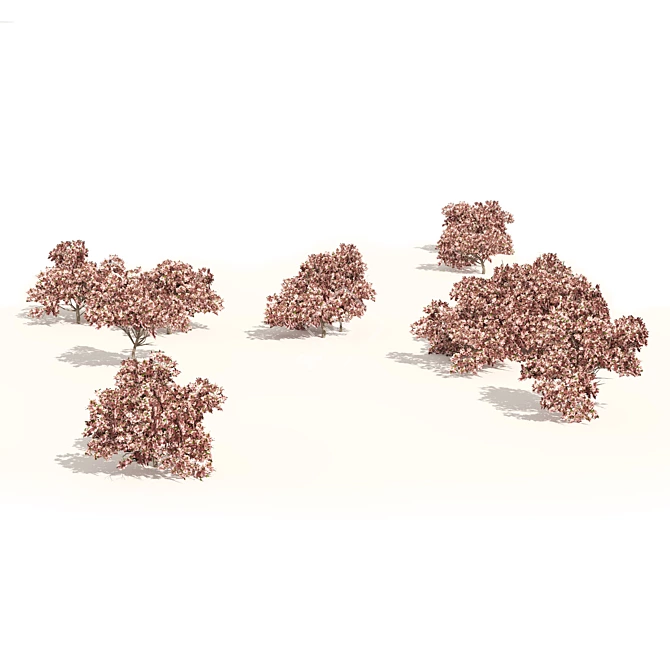 Pink Prunus Peach Tree Model 3D model image 3