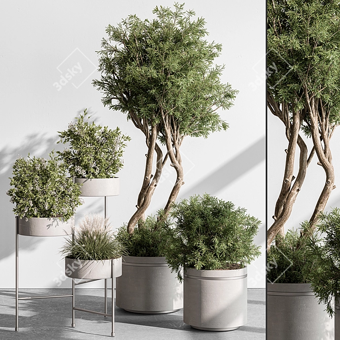 Tree & Bush Indoor Plant 3D model image 1