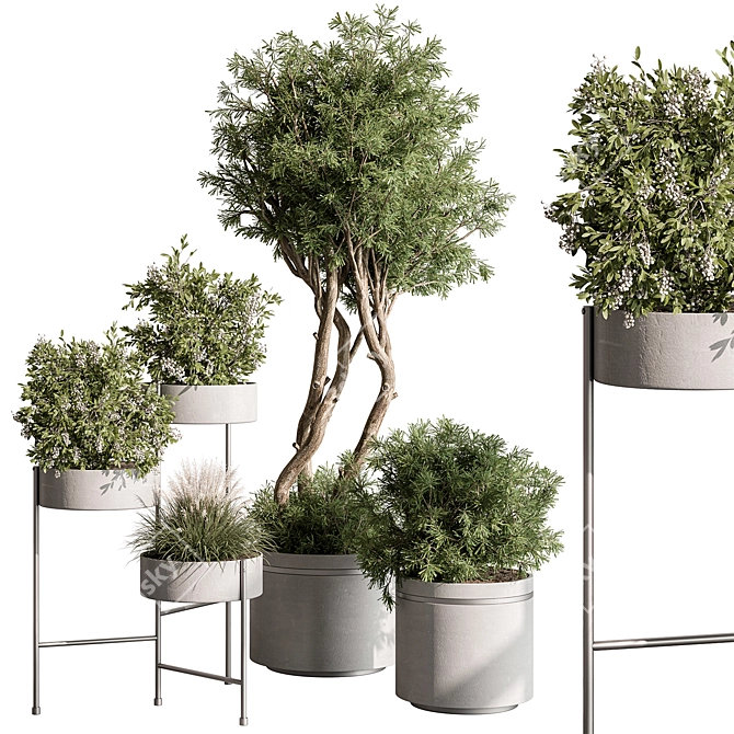 Tree & Bush Indoor Plant 3D model image 2