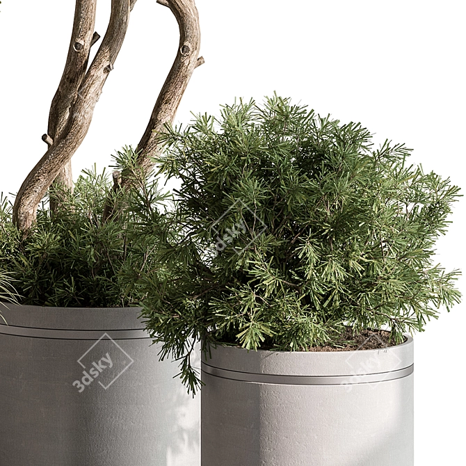 Tree & Bush Indoor Plant 3D model image 4