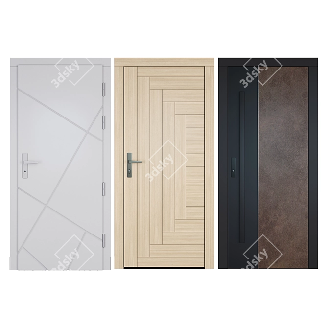 Variety of Premium Entrance Doors 3D model image 1