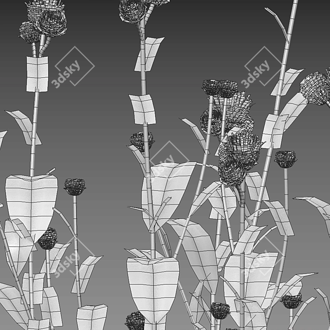 Variety 3D Plant Model Pack 3D model image 5