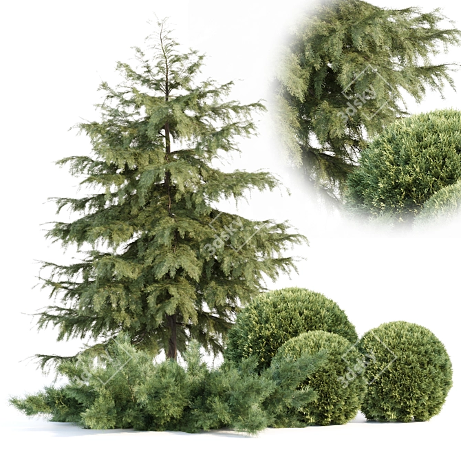 Seasonal Juniper Garden Collection 143 3D model image 1