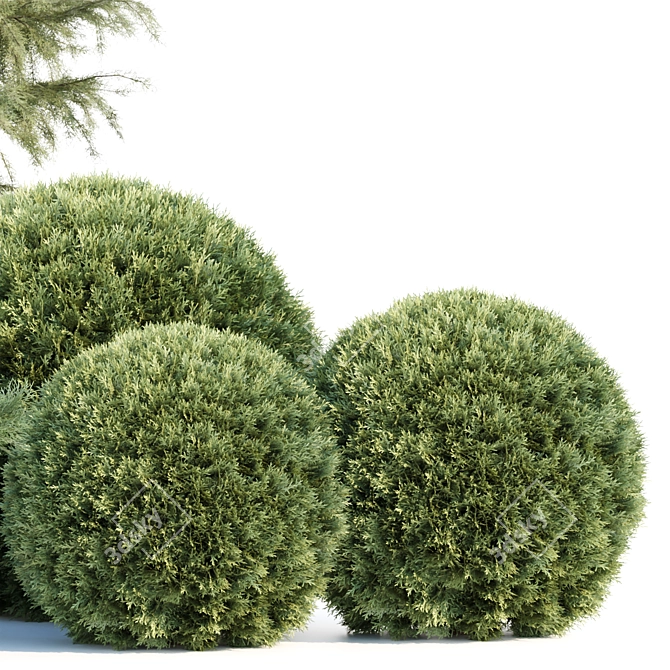 Seasonal Juniper Garden Collection 143 3D model image 3