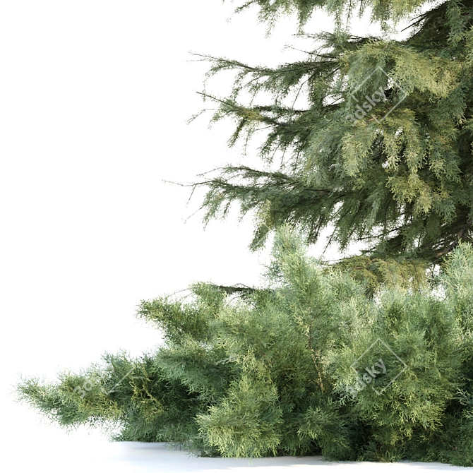 Seasonal Juniper Garden Collection 143 3D model image 4