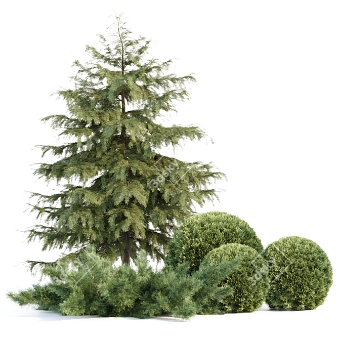 Seasonal Juniper Garden Collection 143 3D model image 5