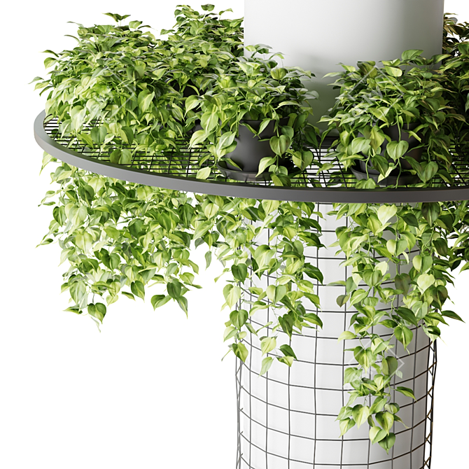 Hanging Epipremnum Plant Column 3D model image 2