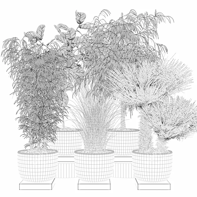 Modern Plant Collection Bundle 3D model image 5