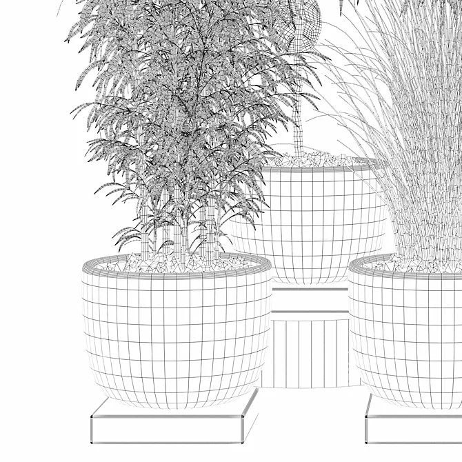 Modern Plant Collection Bundle 3D model image 6