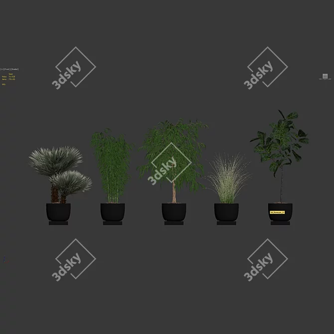 Modern Plant Collection Bundle 3D model image 7