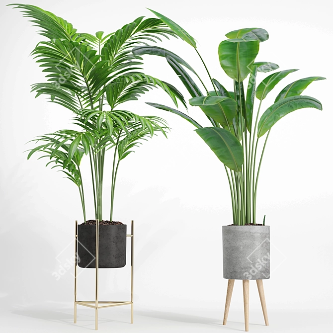 Modern Indoor Plant Set 002 3D model image 2