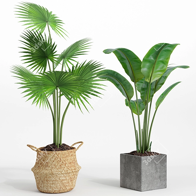 Modern Indoor Plant Set 002 3D model image 3