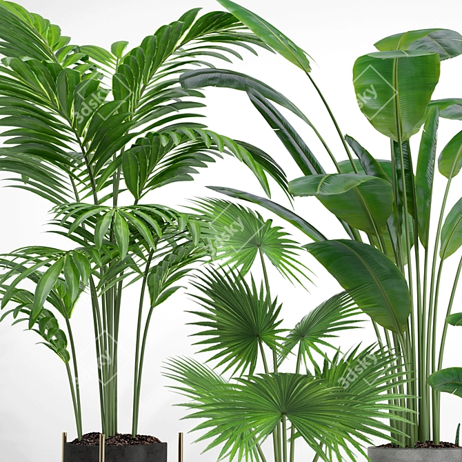 Modern Indoor Plant Set 002 3D model image 4