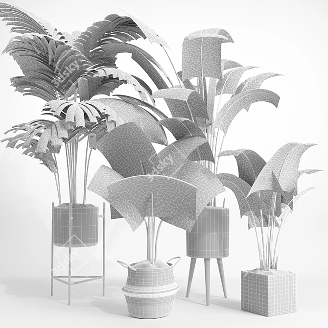 Modern Indoor Plant Set 002 3D model image 5