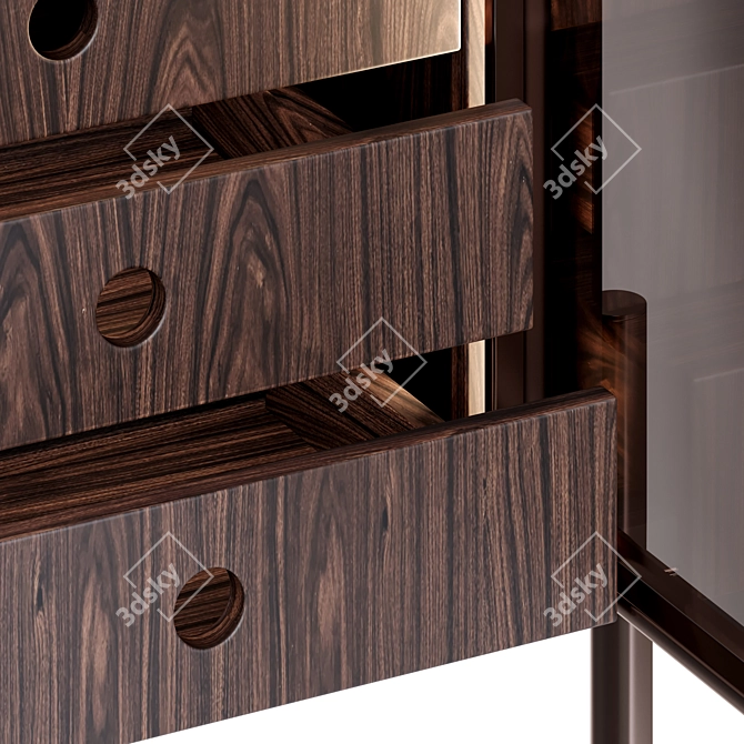 Rosewood Superquadra Display Cabinet 3D model image 3