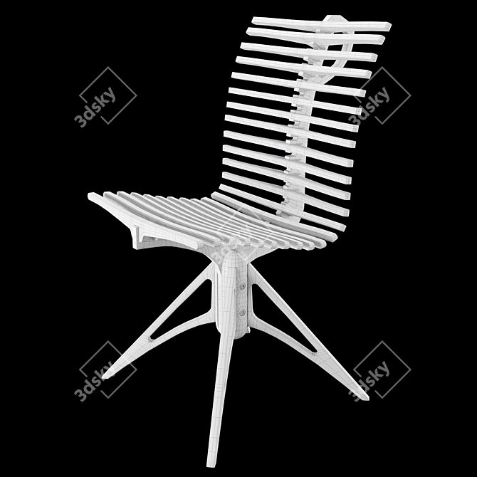 Modern Ergonomic Skeleton Chair 3D model image 3