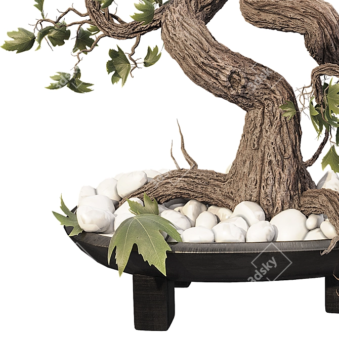 Grape Bonsai 01 3D Model 3D model image 3