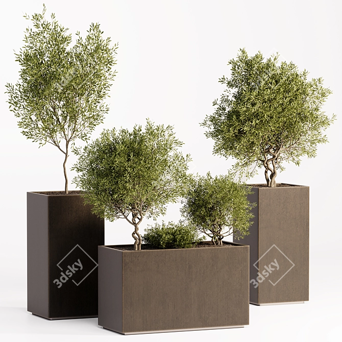 High Quality Outdoor Plant Collection 3D model image 1