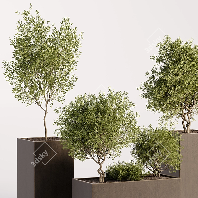 High Quality Outdoor Plant Collection 3D model image 3