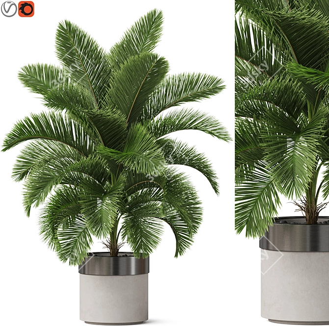 Lush Plant Variety Set 3D model image 1