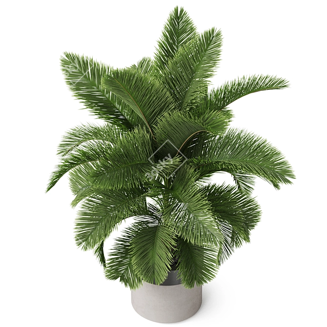 Lush Plant Variety Set 3D model image 3