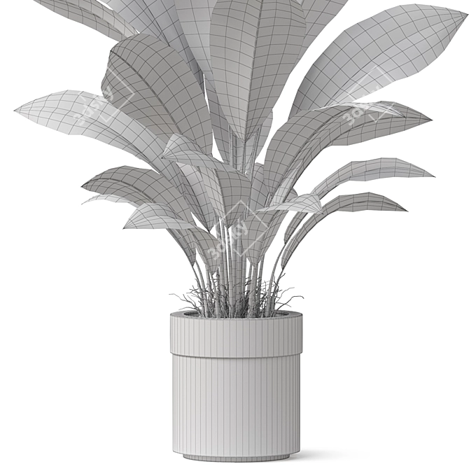 Exquisite Plants Collection 835 3D model image 4