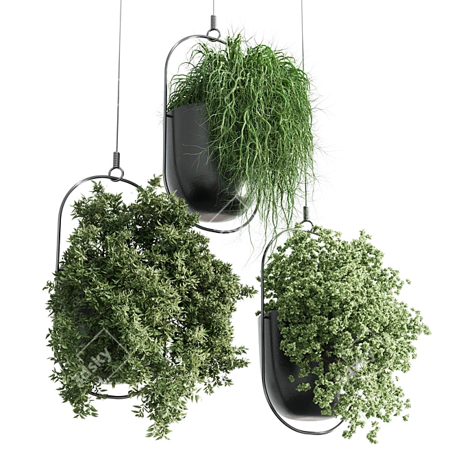 Modern Hanging Plant for Indoor Spaces 3D model image 1