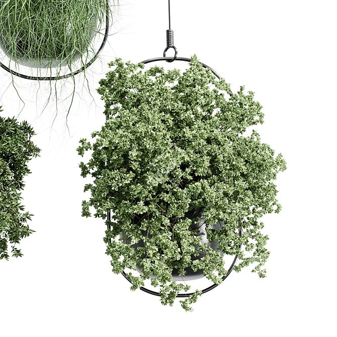 Modern Hanging Plant for Indoor Spaces 3D model image 4