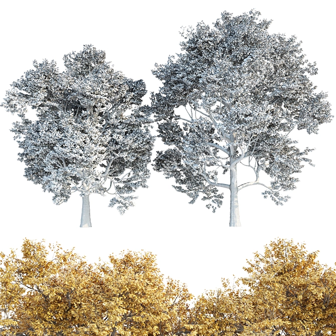 Autumn Maple Tree 3D Models 3D model image 6