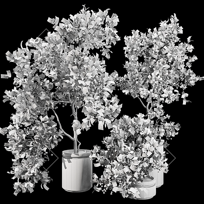 Fruit Tree Trio Collection Set 3D model image 6