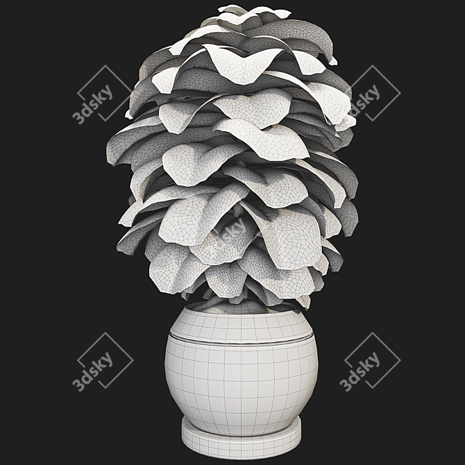 Compact Glossy Ficus Lyrata Bambino 3D model image 5