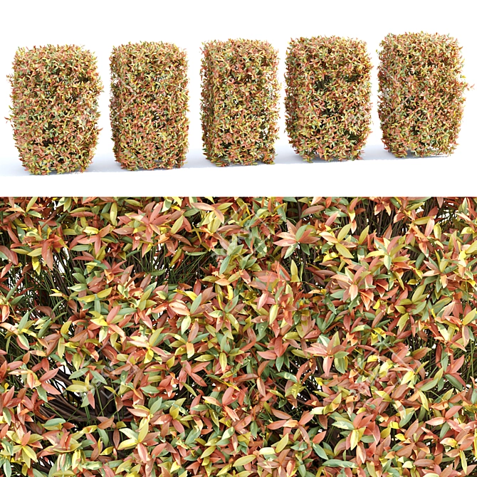 Vibrant Autumn Bushes Assortment vol.148 3D model image 3