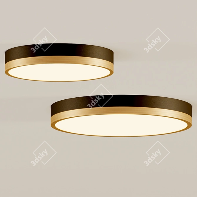 Adelaide Collection Flush Mount Light 3D model image 2