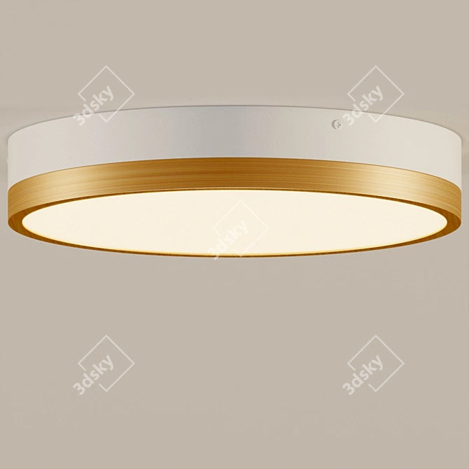 Adelaide Collection Flush Mount Light 3D model image 3