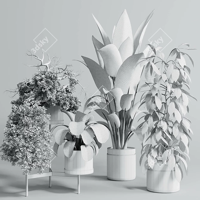 Concrete Vase Indoor Plant Set 3D model image 6