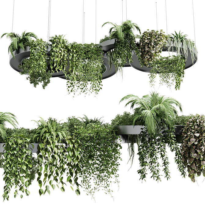 Modern Hanging Indoor Plant 3D Model 3D model image 2