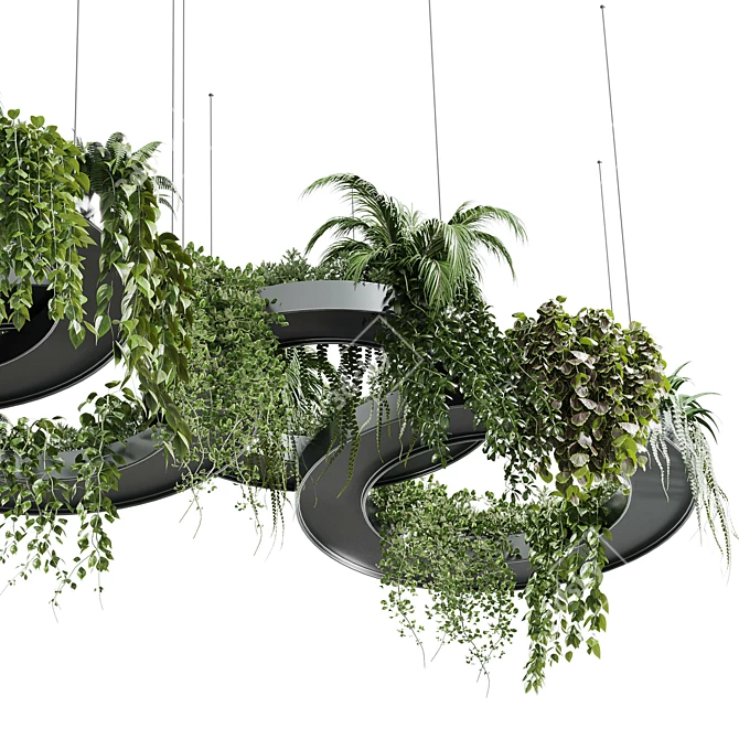 Modern Hanging Indoor Plant 3D Model 3D model image 4