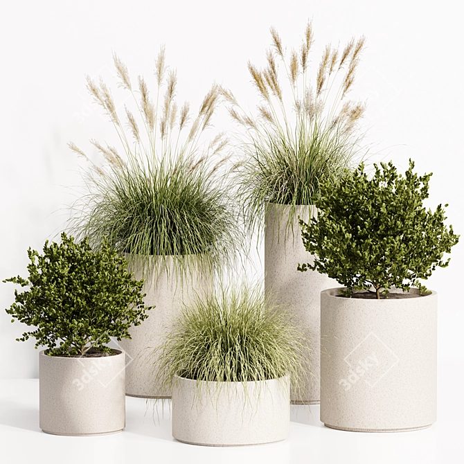 Luxury Indoor Plant Set 3DsMax 3D model image 6