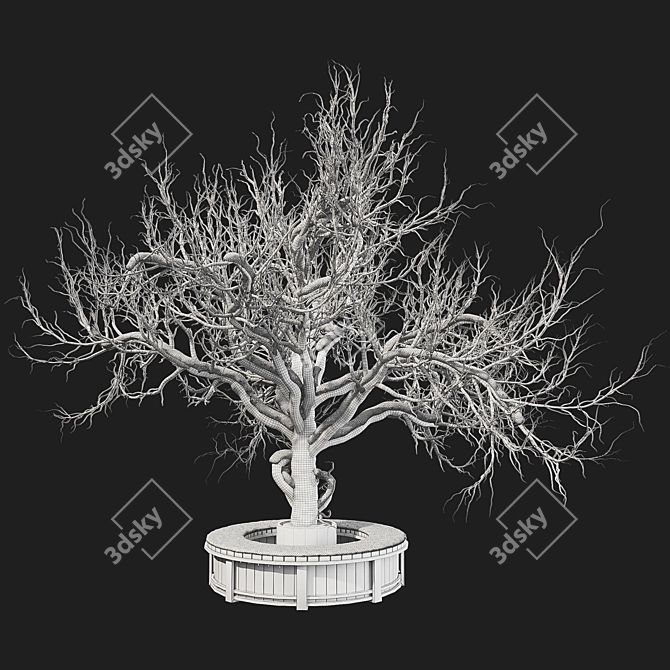 Outdoor Plant Set with Max 2015 3D model image 3