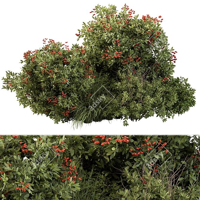 Berry Bush Set 97: Garden Delight 3D model image 1