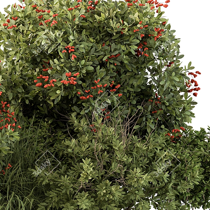 Berry Bush Set 97: Garden Delight 3D model image 2