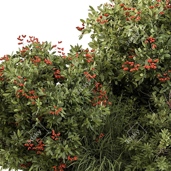 Berry Bush Set 97: Garden Delight 3D model image 3