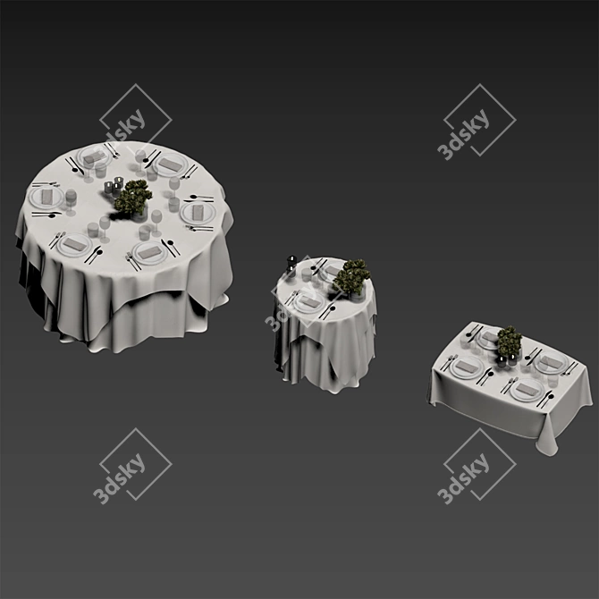 Luxury Tablecloth Bundle Set - Gallotti & Radice + Sylvestrina 3D model image 18