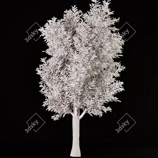 Corona Render Tree01 3D Model 3D model image 2