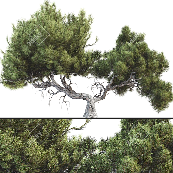  3D Tree Model Kit Pack 3D model image 1