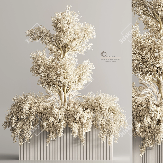 Modern Indoor Plant Set 85 3D model image 1